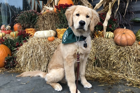 Entry image for Zeke. Clicking this image will show a larger photo