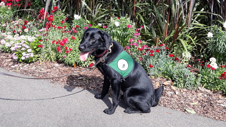 Entry image for Keesha. Clicking this image will show a larger photo