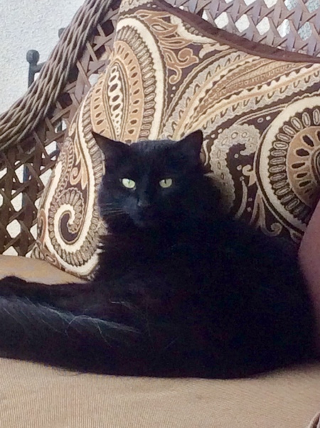 Lucy