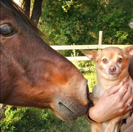 Dora and friend