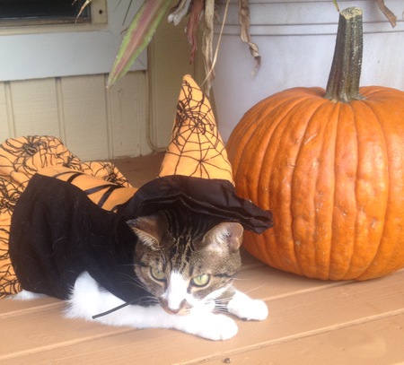 Kiki