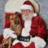 Entry image for Ginger