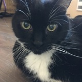 Entry image for 2pac