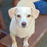 Entry image for Megan