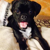 Entry image for Lulu