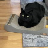 Entry image for Linus