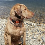 Entry image for Loala 