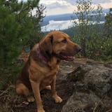 Entry image for Sasha