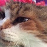 Entry image for Zoey