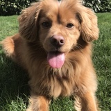 Entry image for Arthur