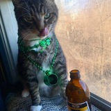 Entry image for Mr. Beans 