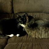 Entry image for Boots and Jimmy