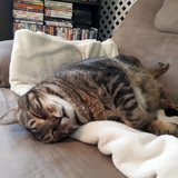 Entry image for Peter