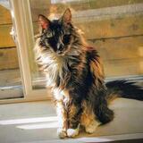 Entry image for Steven