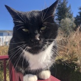 Entry image for Larry 