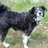 Entry image for Abigail Crowder Olsen Wyenberg...aka Abbie!!