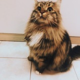 Entry image for Bauer