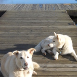 Entry image for Tula and Alister