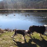 Entry image for Cooper and Chase