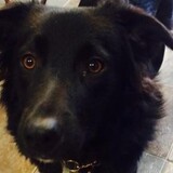 Entry image for Chloe