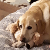 Entry image for Jazz