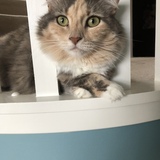 Entry image for June