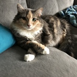 Entry image for June