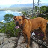 Entry image for Stetson