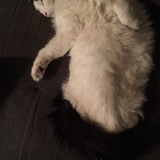 Entry image for Bridget 