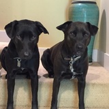 Entry image for Ella and Wynton