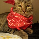 Entry image for Riley Rose