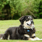 Entry image for Nelly