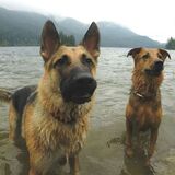 Entry image for Deuce and Jasper 