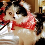 Entry image for Zoey