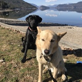 Entry image for Adam and Charlie