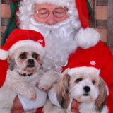 Entry image for Charley and Miya