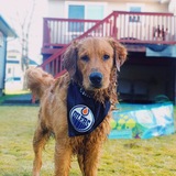 Entry image for Easton