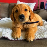 Entry image for Easton