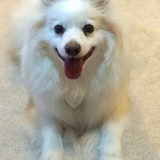 Entry image for Putter