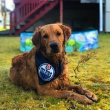 Entry image for Easton