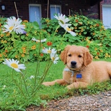 Entry image for Easton