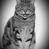 Entry image for Rufus