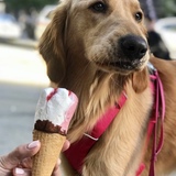 Entry image for Devon