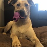 Entry image for Tuukka