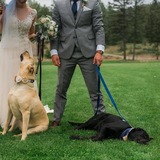 Entry image for Tuukka and Luda