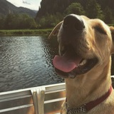 Entry image for Tuukka