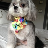 Entry image for Baxter