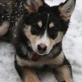 Entry image for Haley