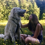 Entry image for Strider 