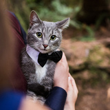 Entry image for Willis